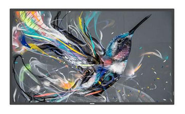 Monitor signage PHILIPS 3511Q 43"