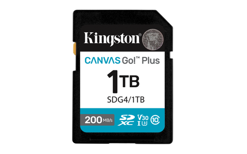 1TB SDXC Canvas Go Plus Gen4 200MB/s C10