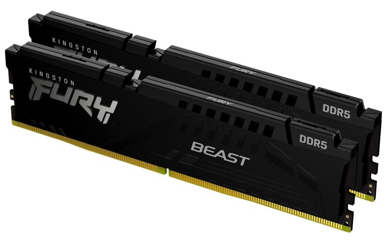 Kingston Technology FURY Beast