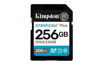 Card de Memorie SD Kingston 256GB Canvas GO PLUS CL10
