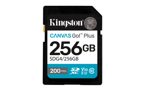 Card de Memorie SD Kingston 256GB Canvas GO PLUS CL10