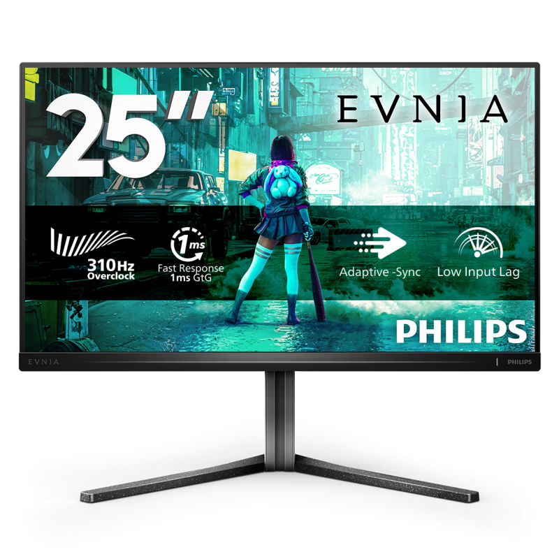 Monitor Philips 24.5" 25M2N3200U/00