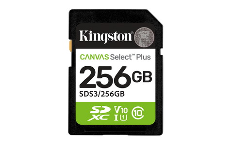 Card de Memorie SDXC Kingston 256GBCanvas Select Plus