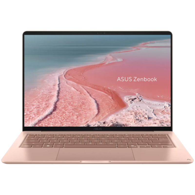 AS 14 X1-26-100 16 256 W11P No charger
