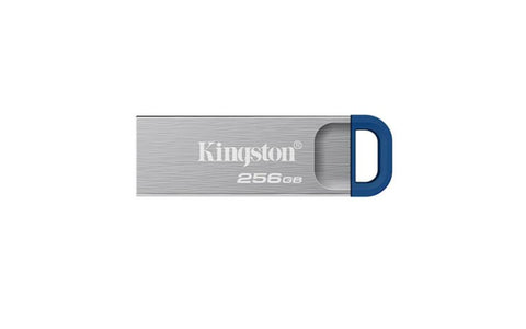 USB 256GB Kingston DTKNG2 metalic 3.2